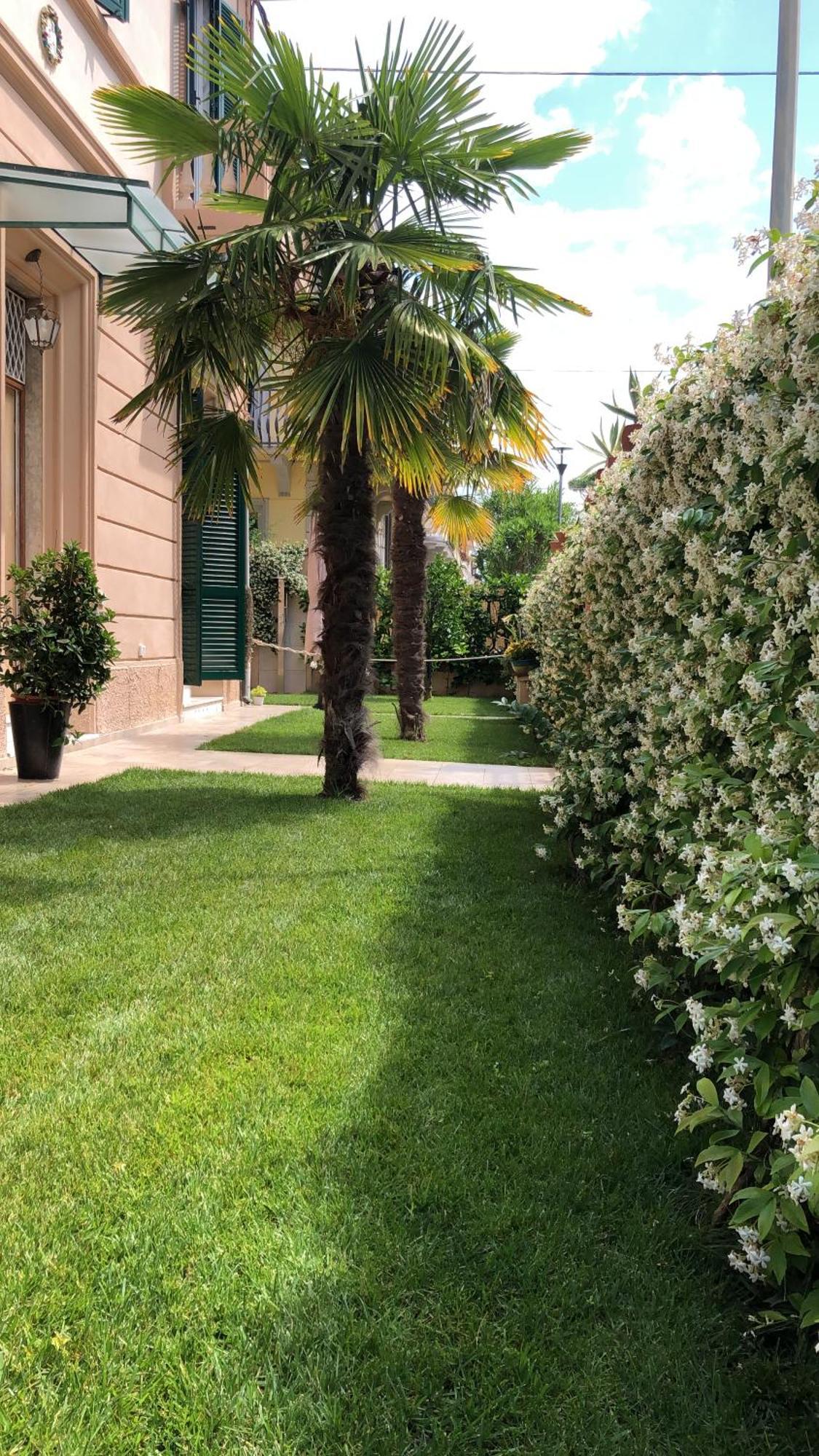 Apartmán Monolocale Pura Vida Viareggio Exteriér fotografie