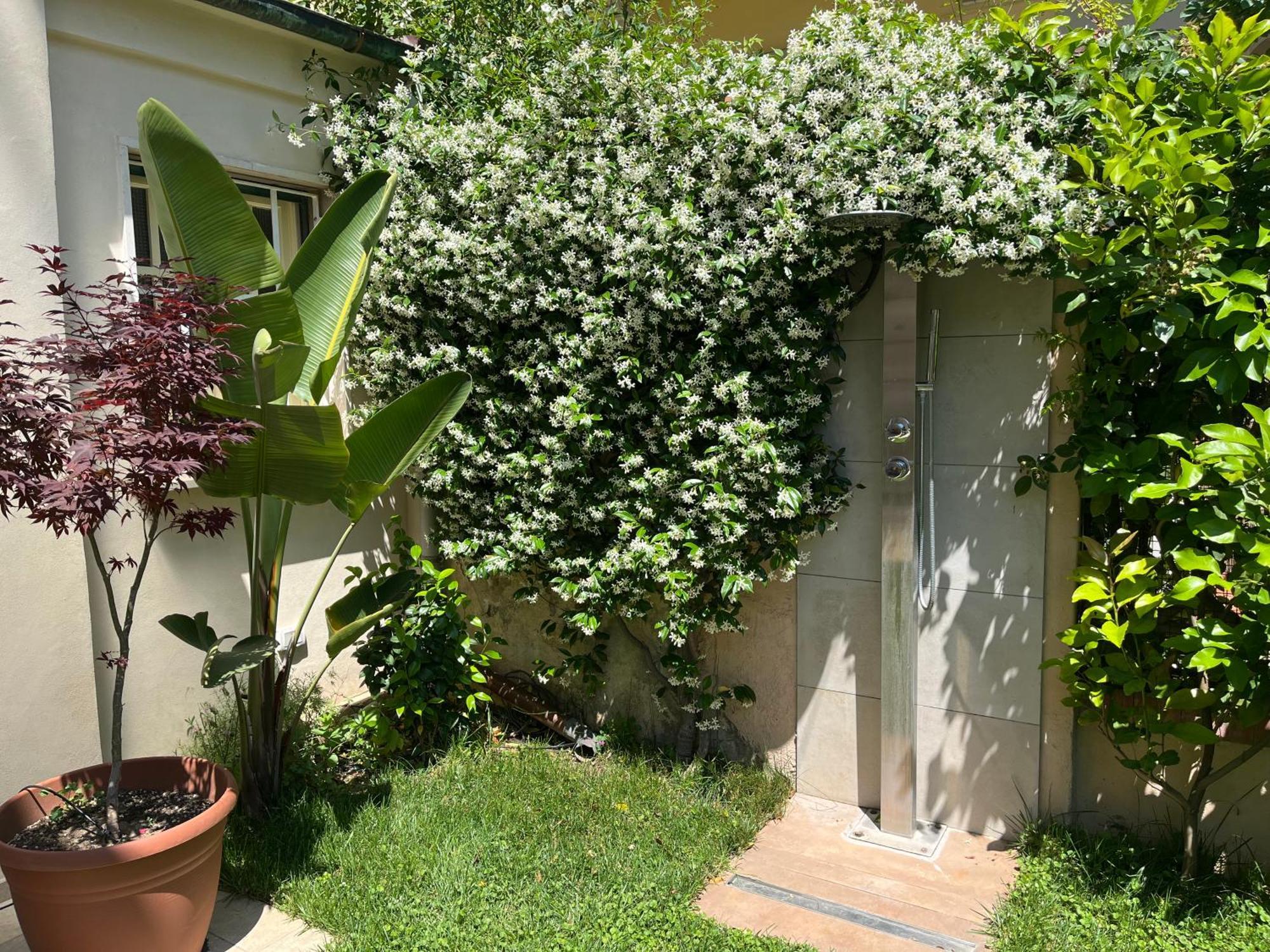 Apartmán Monolocale Pura Vida Viareggio Exteriér fotografie